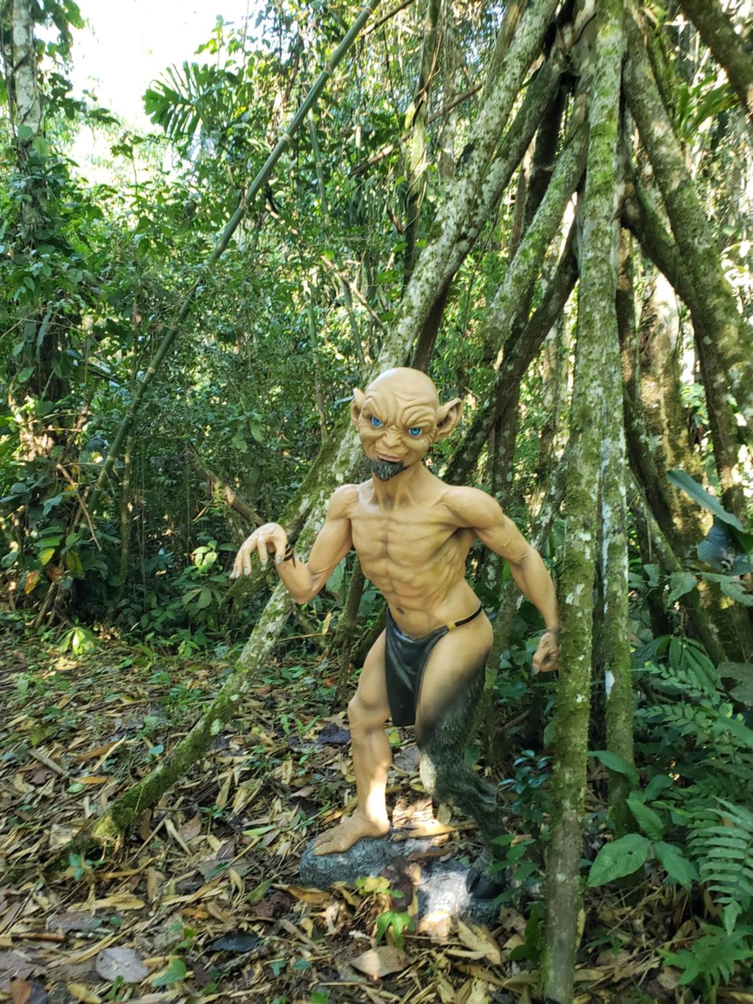 Manu Gallito De Rocas *